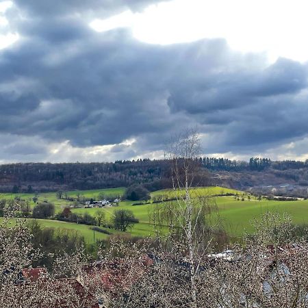 Ferienwohnung Balkonblick Am Hirschberg Sankt Wendel Zewnętrze zdjęcie